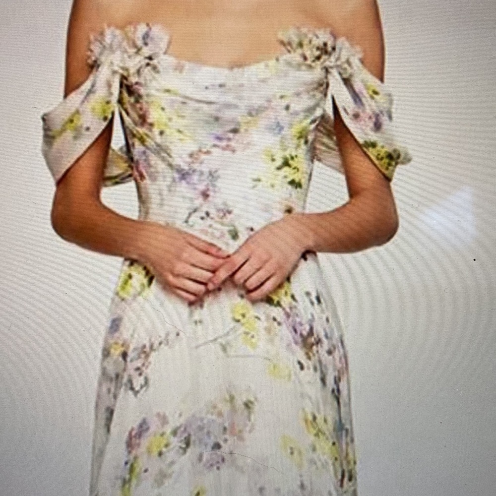 ATTENTION MOTHER OF THE BRIDE! Frascara gown, #4260 Silk chiffon. Gorgeous size4